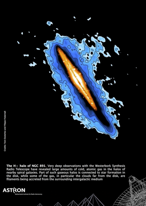 n8912011poster.png n8912011poster.png