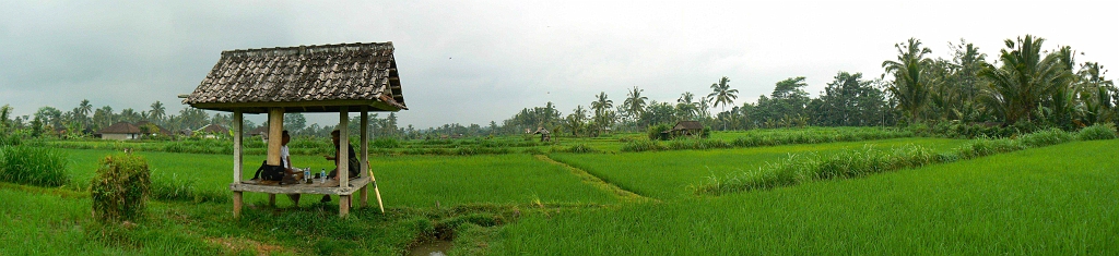 ubud-10.jpg