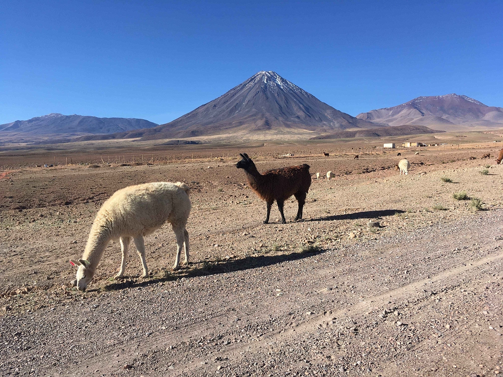 Chile2019-129.jpg