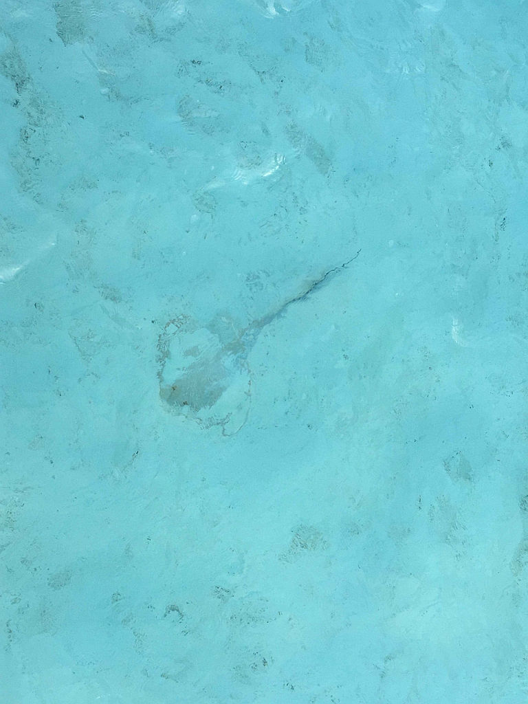 Maldive2018-170.jpg