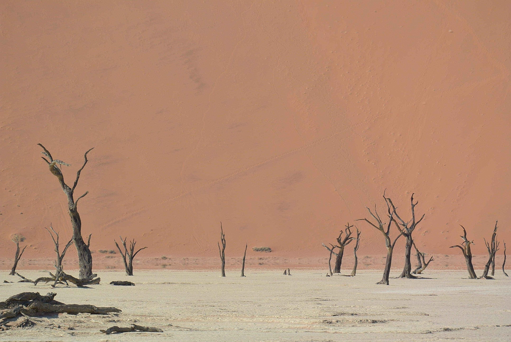 Namibia_2014-0580.jpg