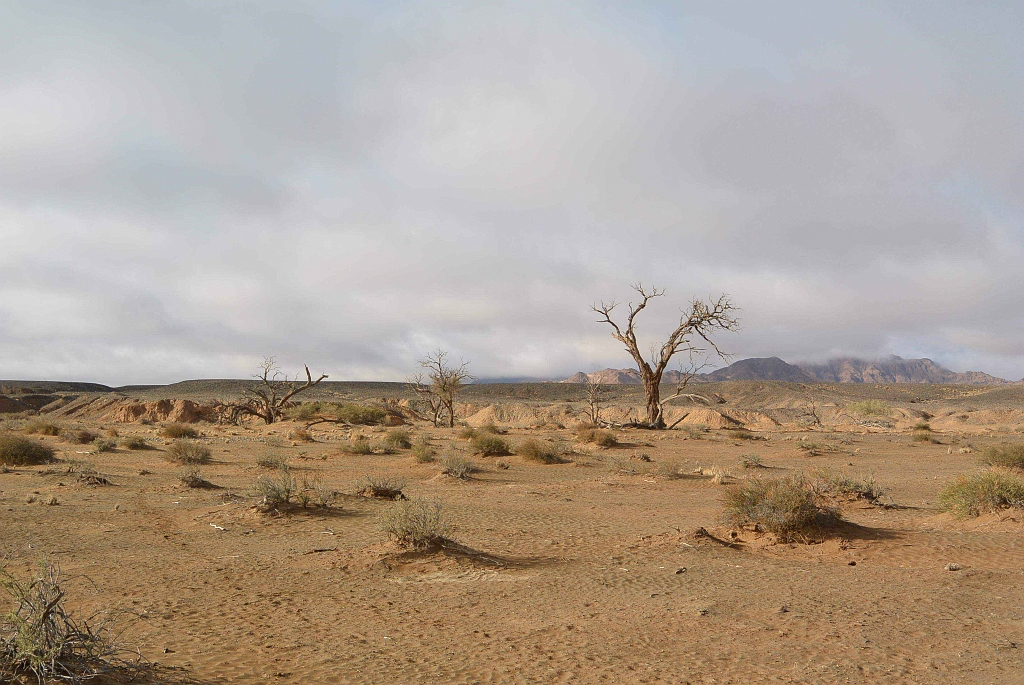 Namibia_2014-0840.jpg