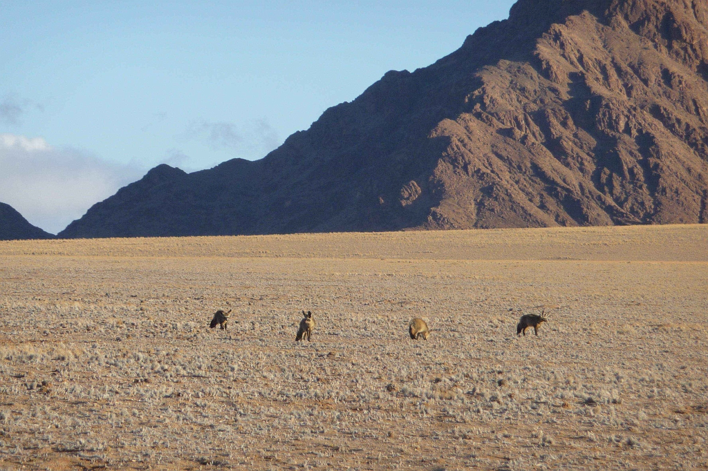 Namibia_2014-0970.jpg