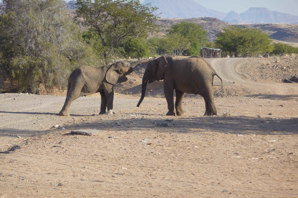 Namibia_2014-1600.jpg