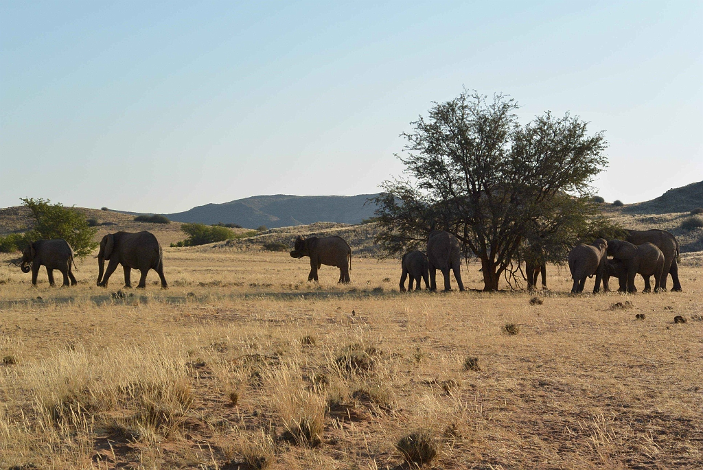 Namibia_2014-1630.jpg
