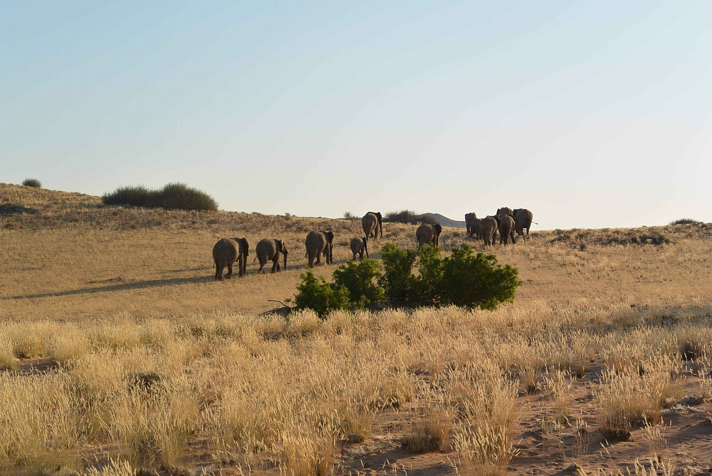 Namibia_2014-1640.jpg