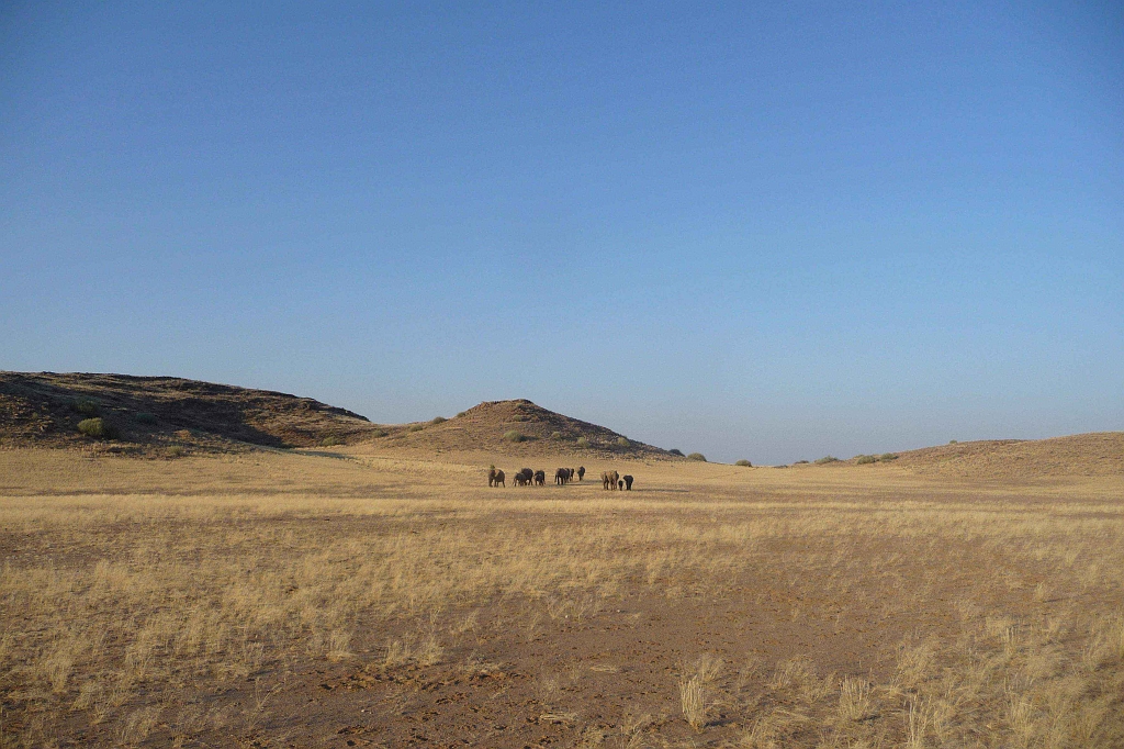 Namibia_2014-1670.jpg