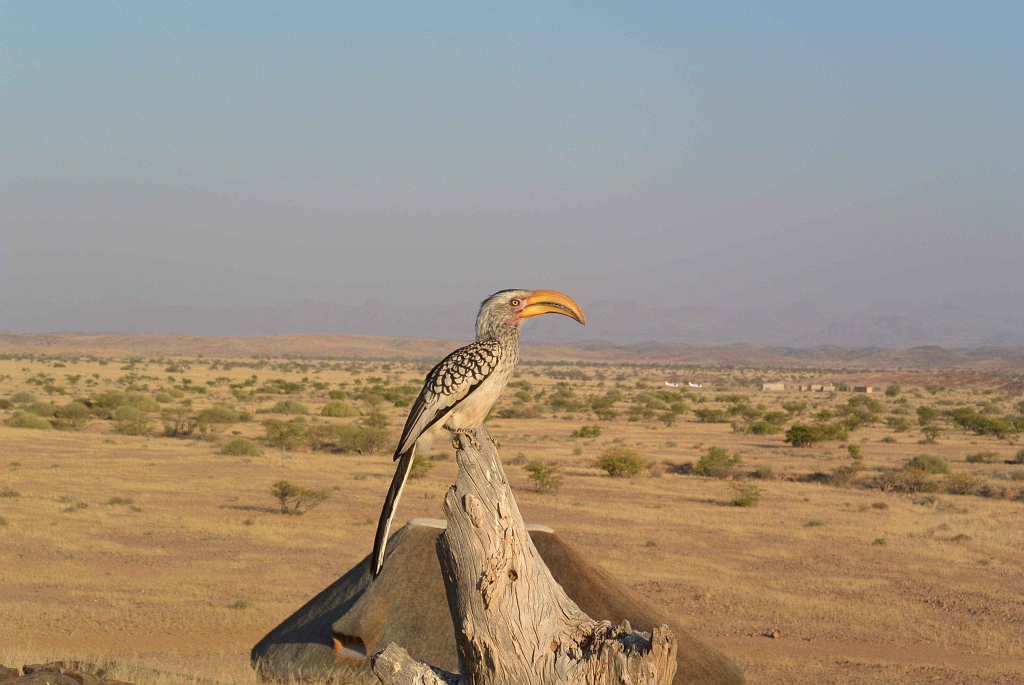 Namibia_2014-1780.jpg