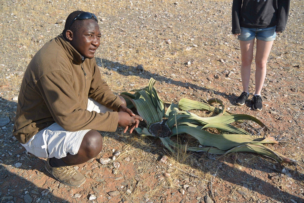 Namibia_2014-1800.jpg