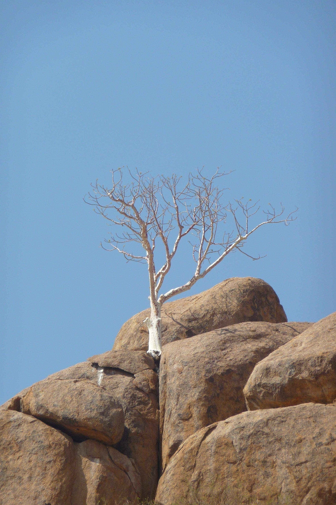 Namibia_2014-1950.jpg