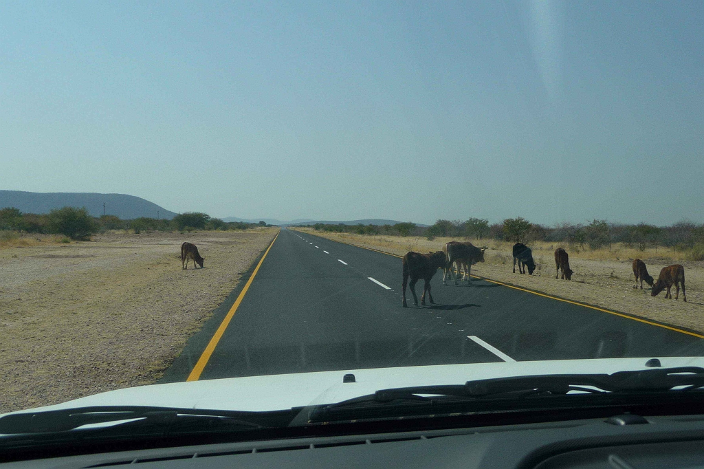 Namibia_2014-2100.jpg