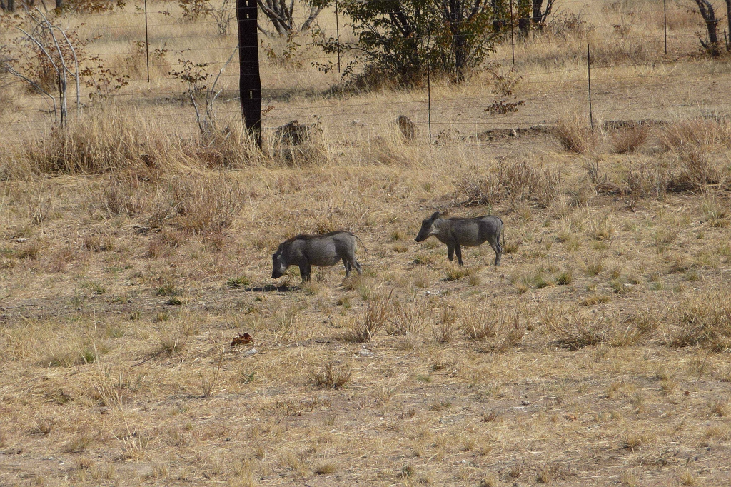 Namibia_2014-2120.jpg