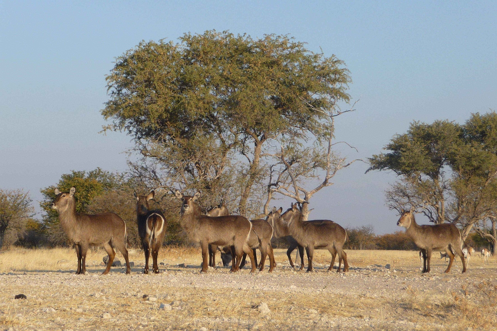 Namibia_2014-2150.jpg