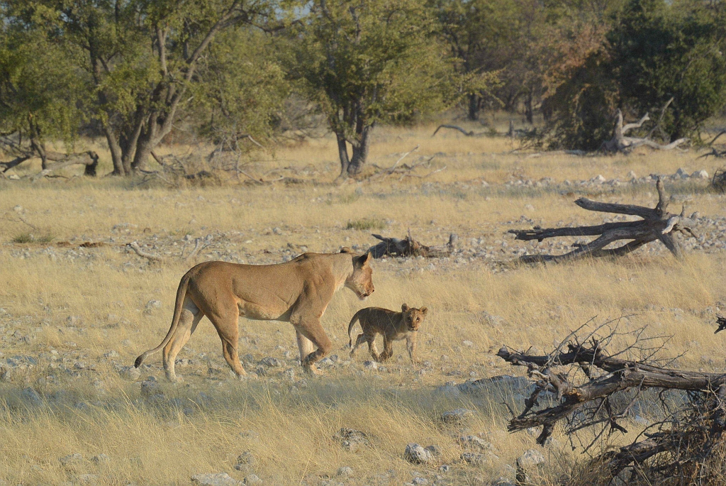 Namibia_2014-2280.jpg