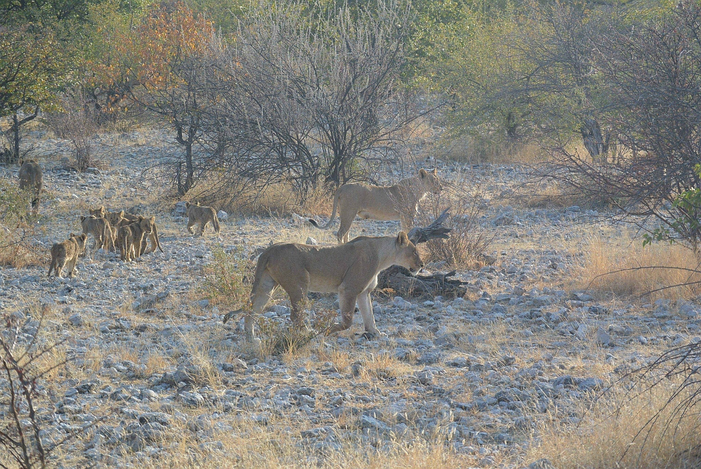 Namibia_2014-2290.jpg