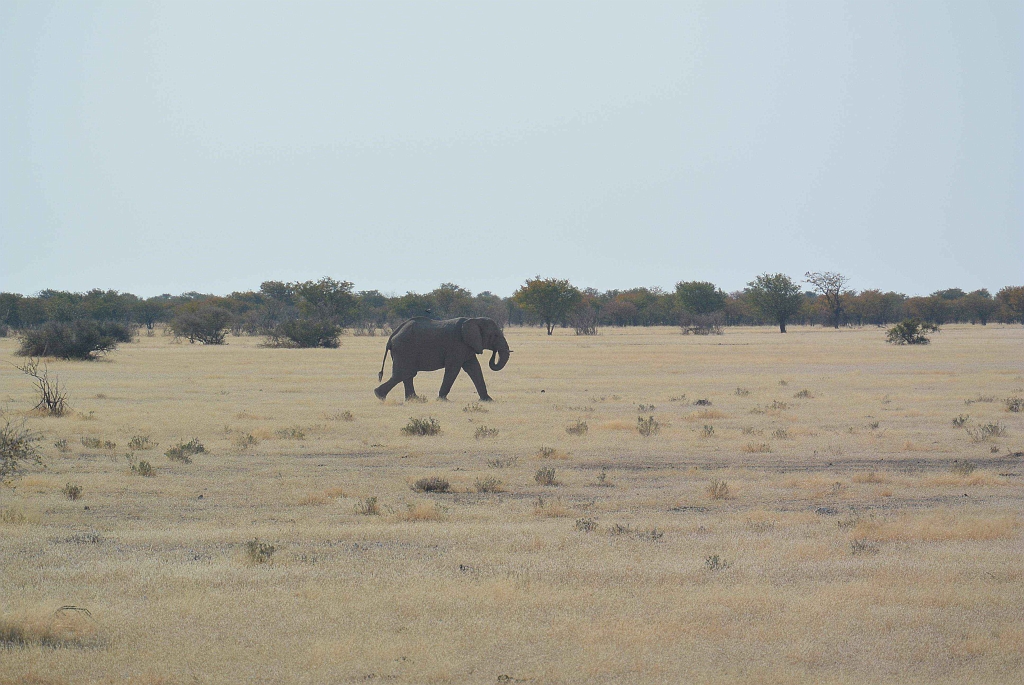 Namibia_2014-2300.jpg