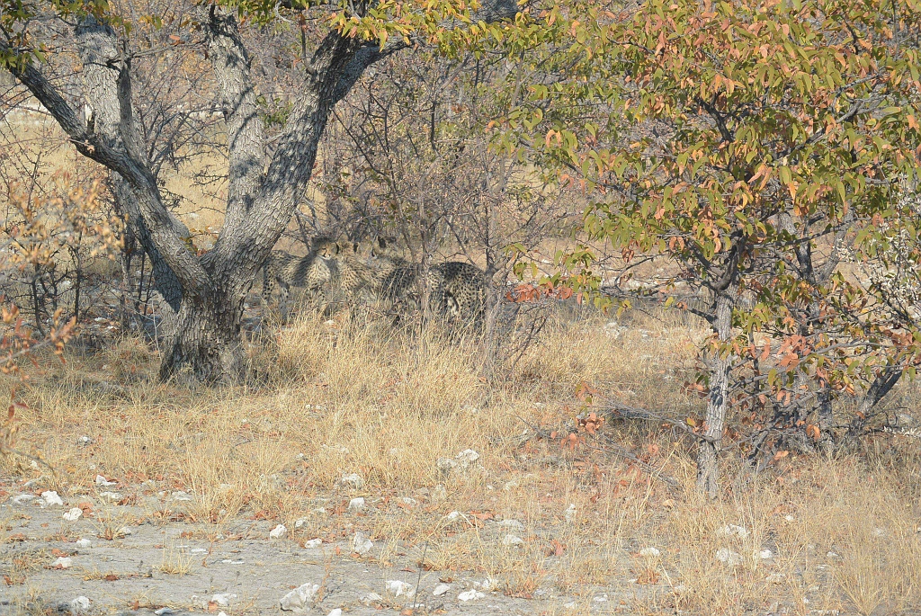 Namibia_2014-2320.jpg