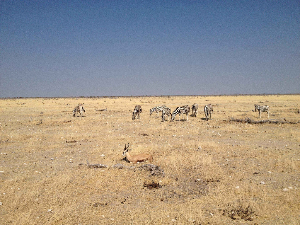 Namibia_2014-2390.jpg
