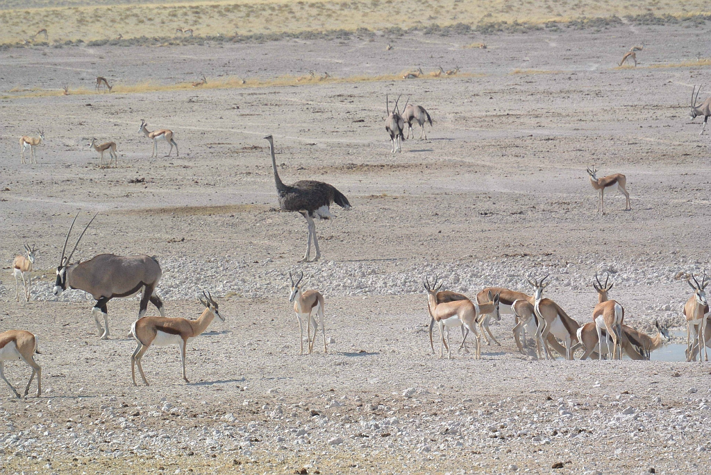 Namibia_2014-2410.jpg