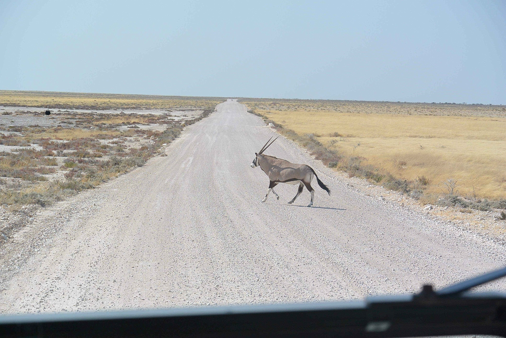 Namibia_2014-2420.jpg