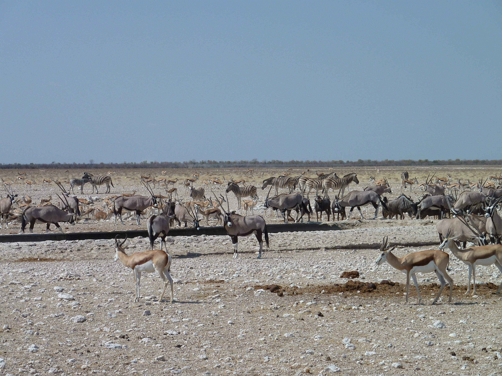 Namibia_2014-2430.jpg