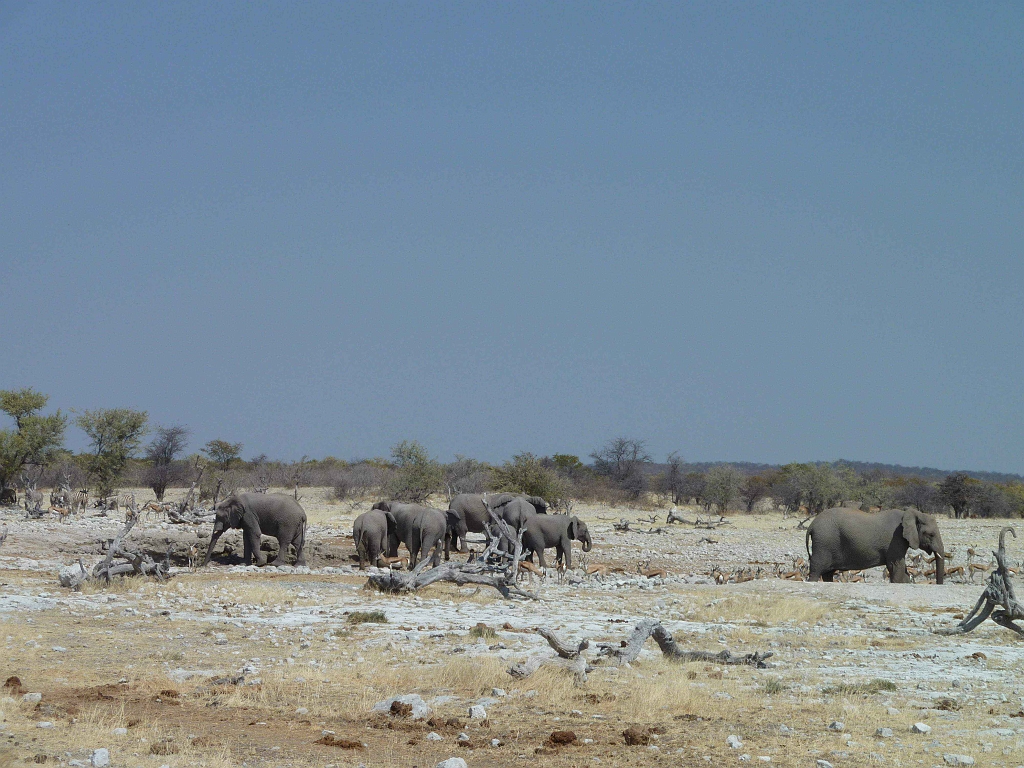 Namibia_2014-2470.jpg