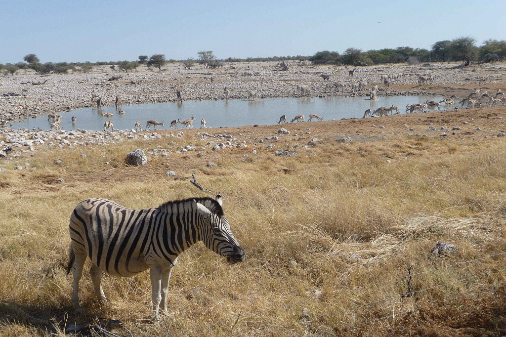 Namibia_2014-2540.jpg