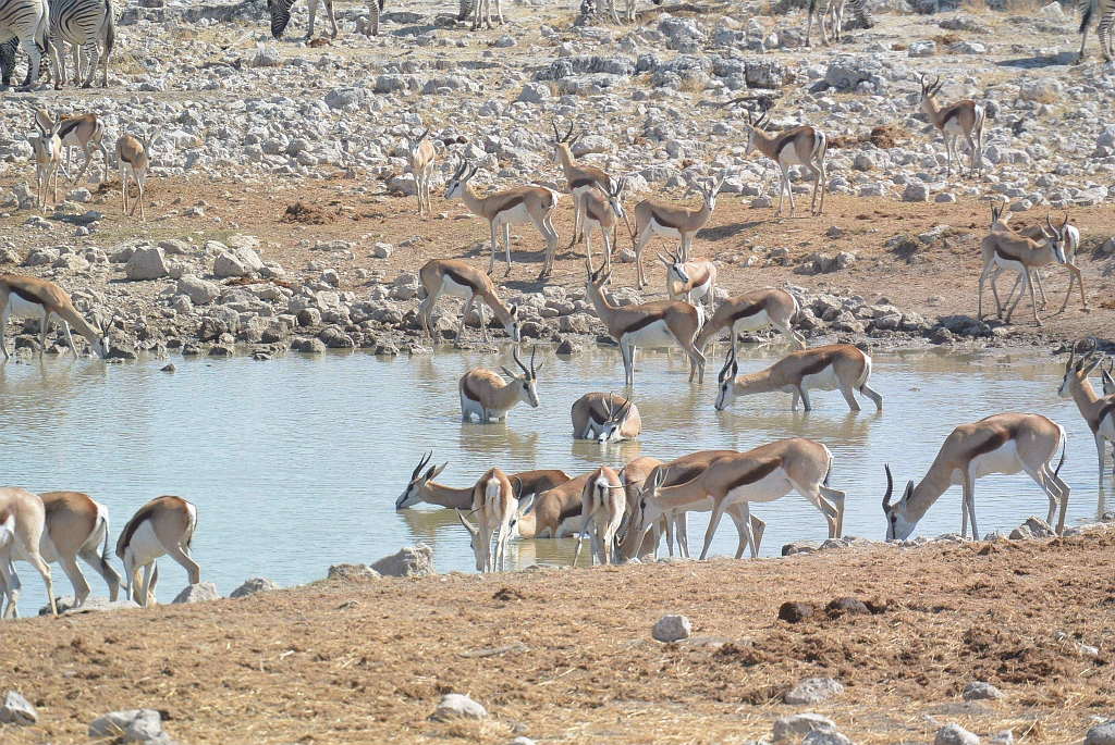 Namibia_2014-2570.jpg