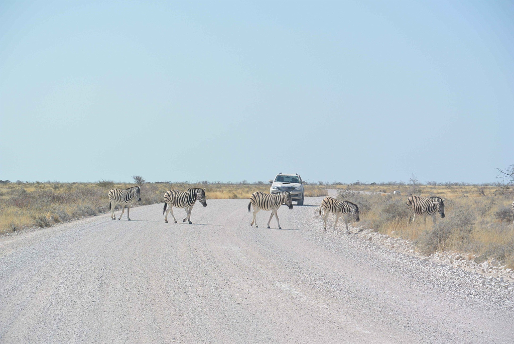 Namibia_2014-2580.jpg