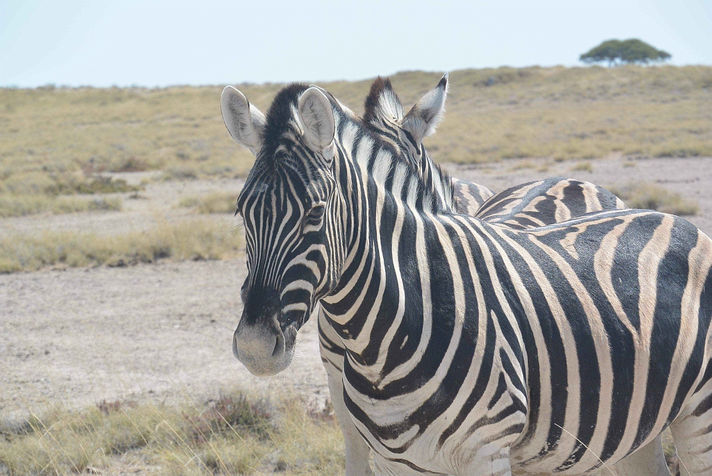 Namibia_2014-2590.jpg