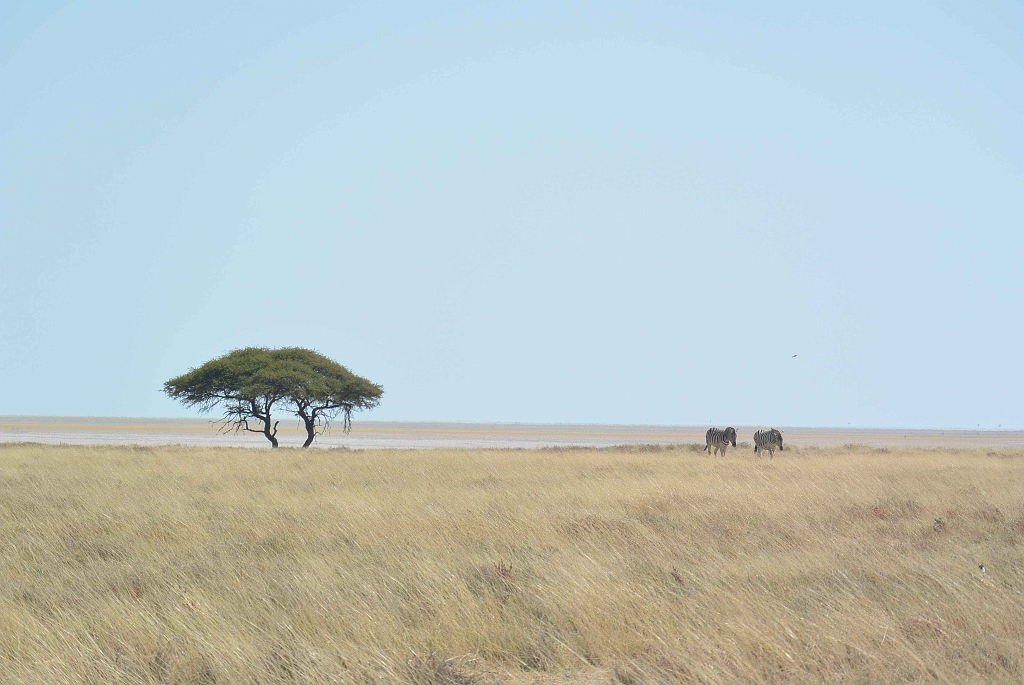 Namibia_2014-2600.jpg