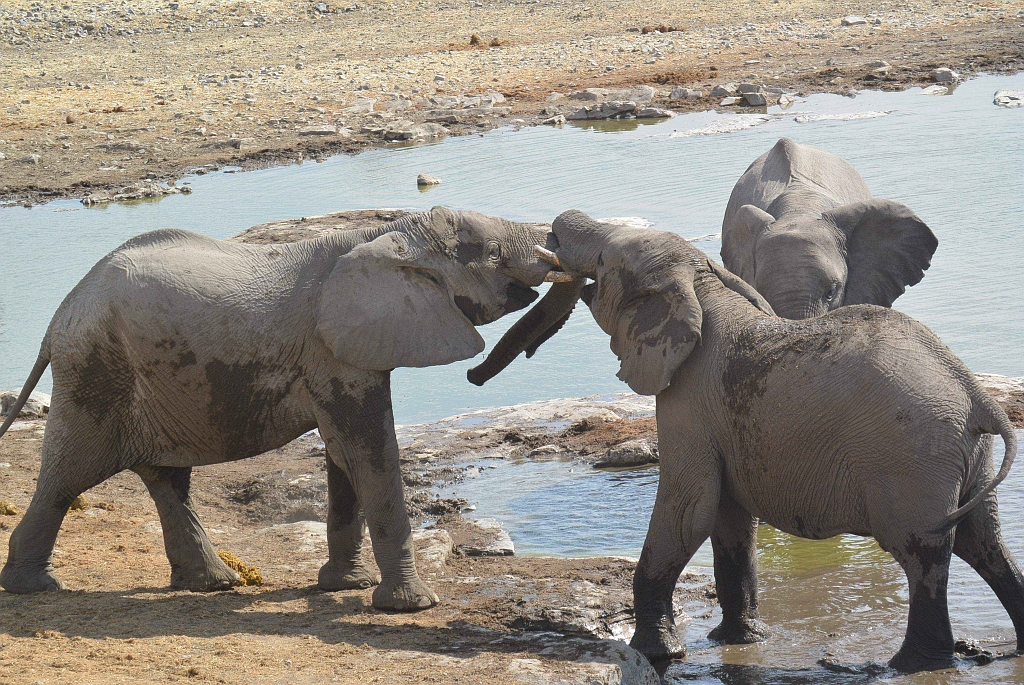 Namibia_2014-2710.jpg