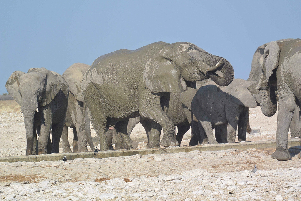 Namibia_2014-2730.jpg