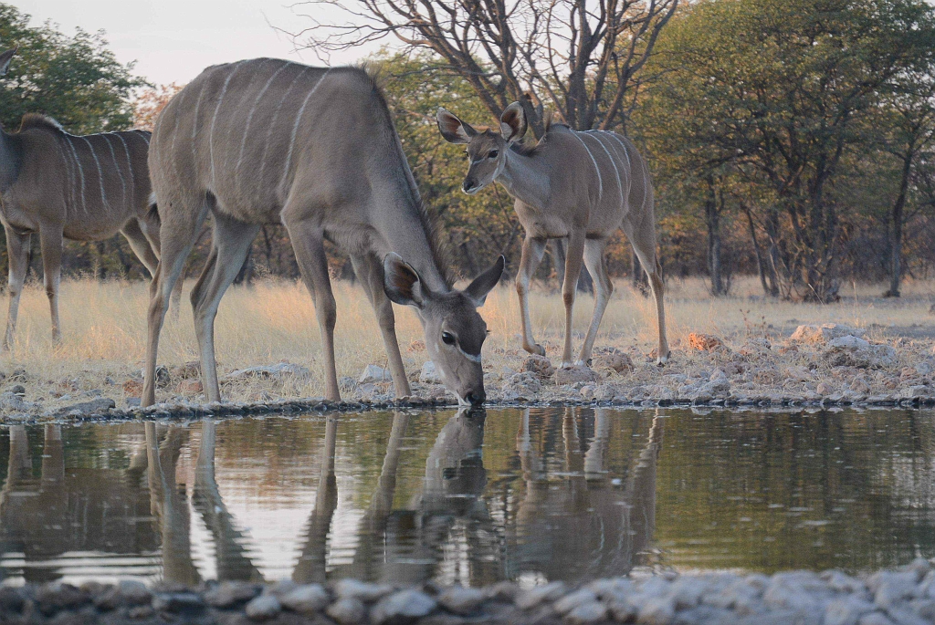 Namibia_2014-2760.jpg