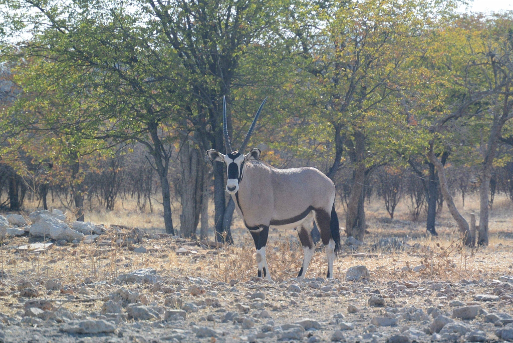 Namibia_2014-2830.jpg