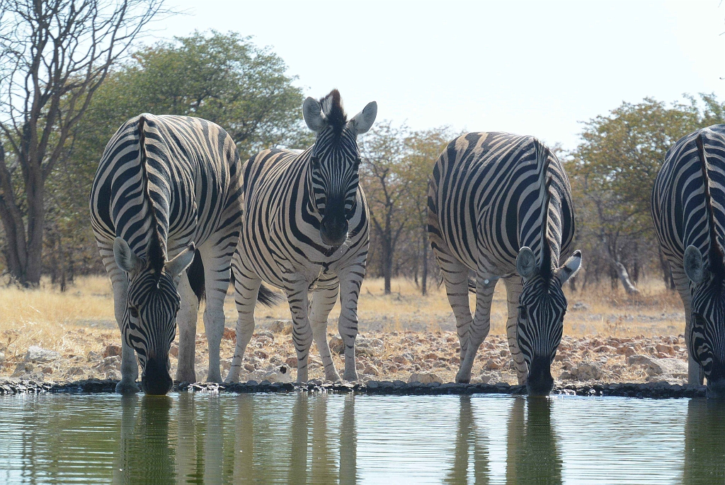 Namibia_2014-2860.jpg