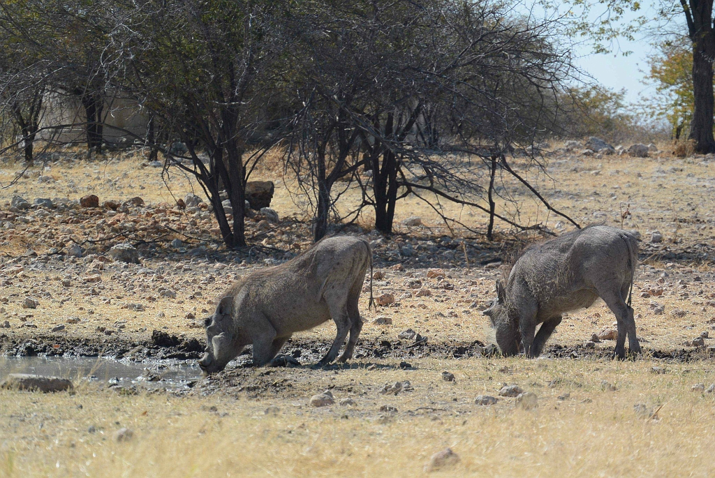 Namibia_2014-2870.jpg