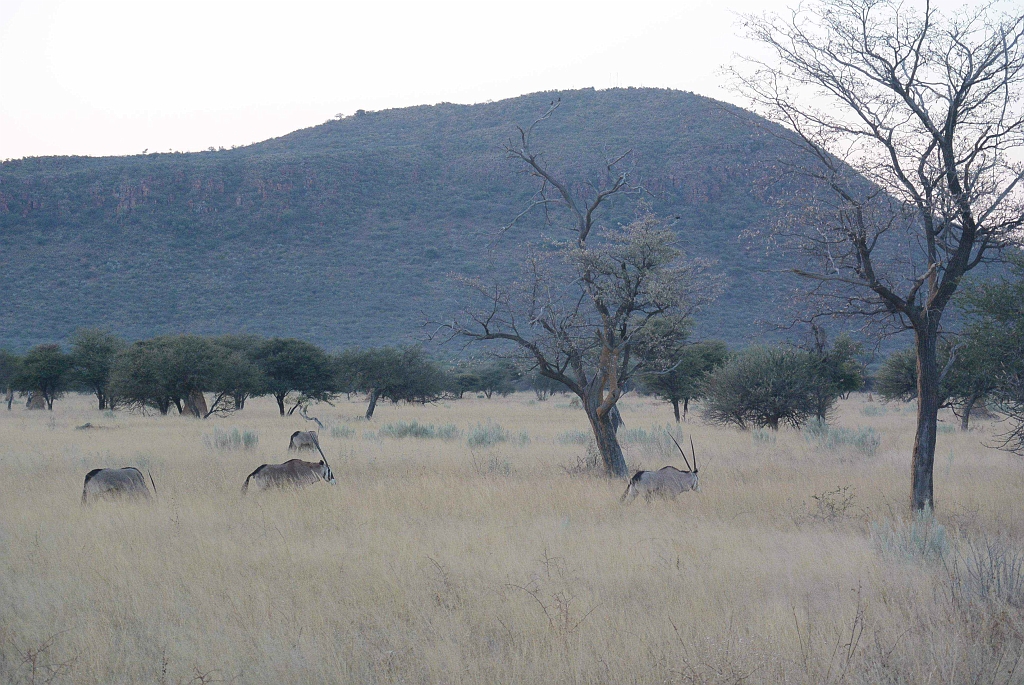 Namibia_2014-3010.jpg