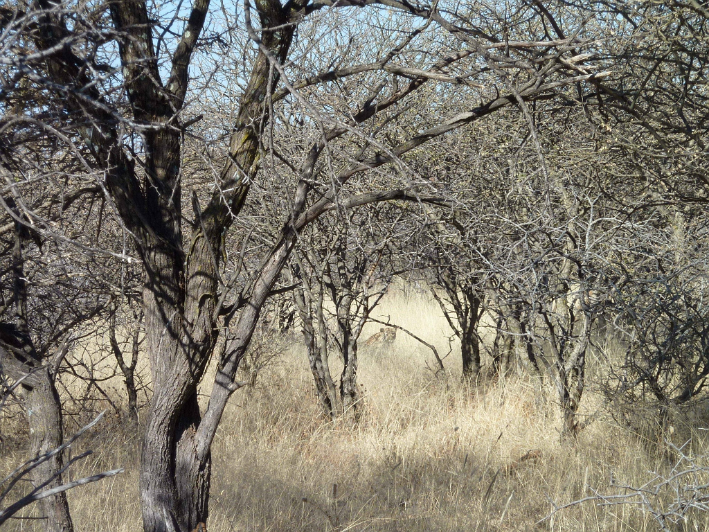 Namibia_2014-3110.jpg