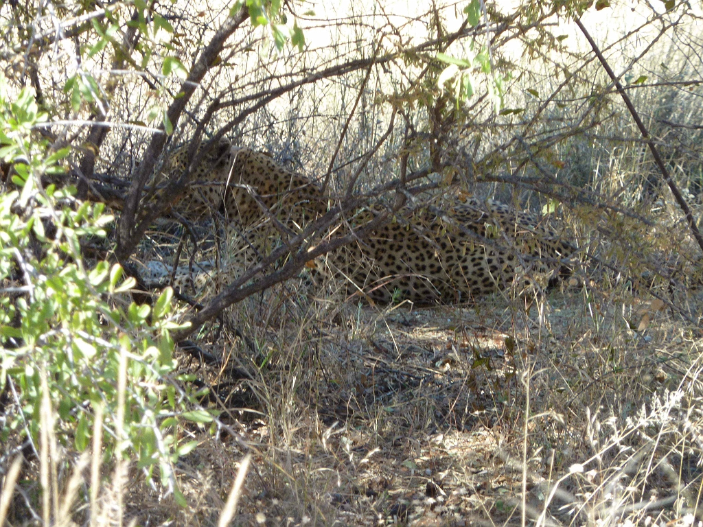 Namibia_2014-3130.jpg