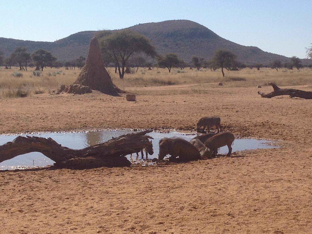 Namibia_2014-3180.jpg