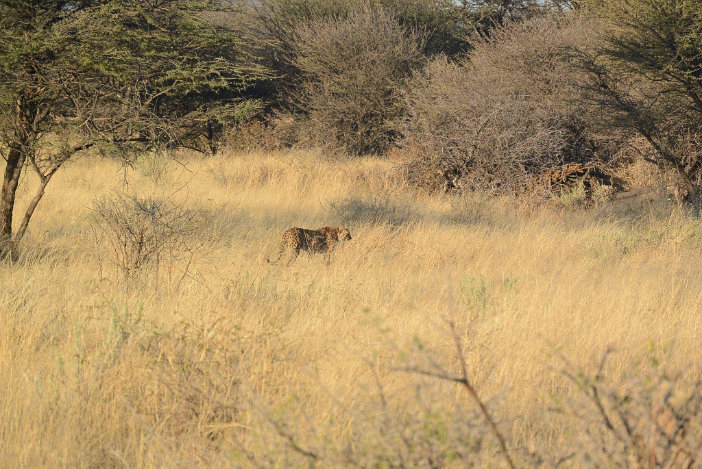 Namibia_2014-3250.jpg