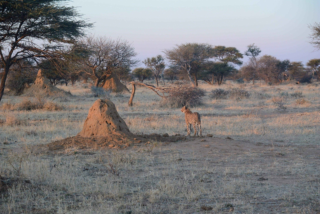 Namibia_2014-3270.jpg