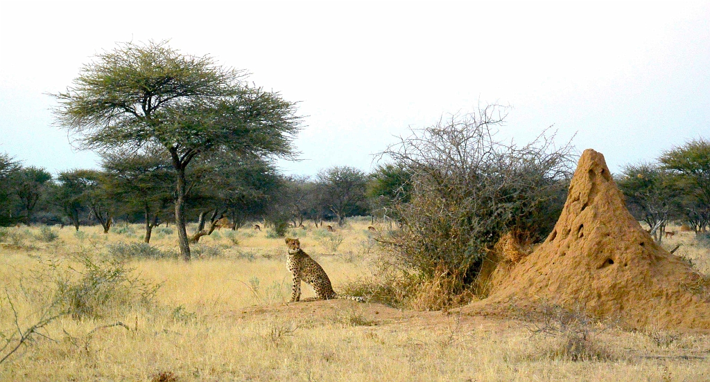 Namibia_2014-3280.jpg