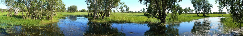 kakadu-3.jpg